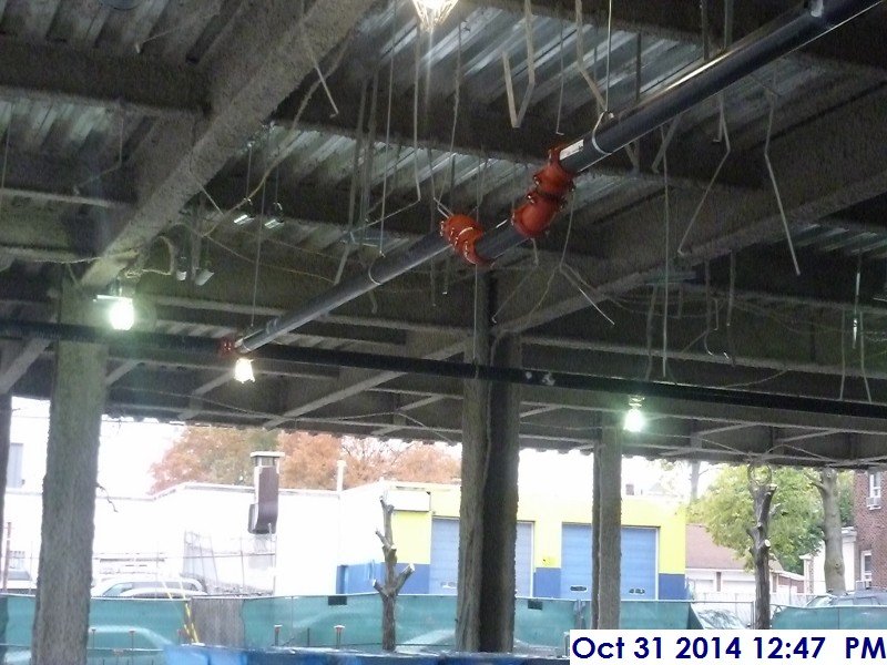 Continued installing sprinkler piping at the 1st Floor Facing West (800x600)